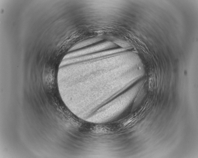 X0000087020608200705071511