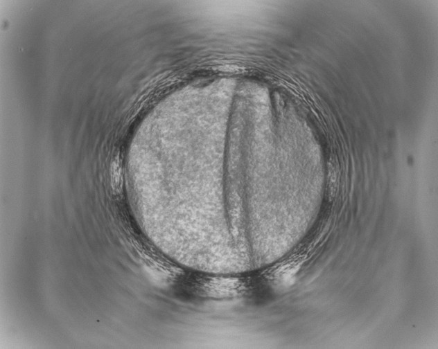 X0000087020609200705071511