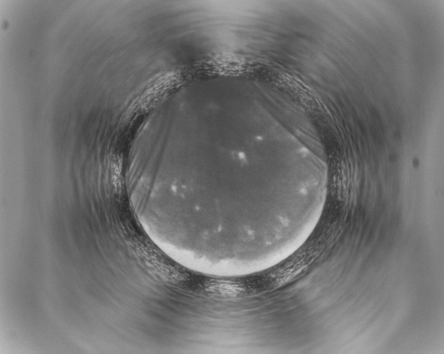 X0000087020610200705071511