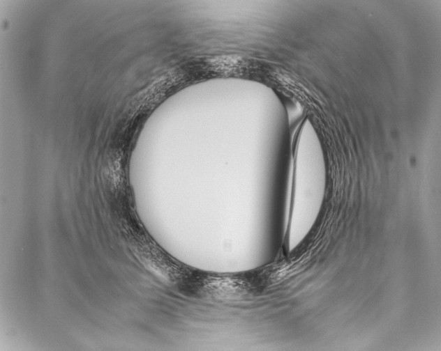 X0000087020611200705071511