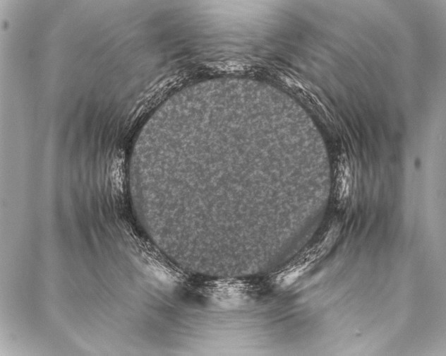 X0000087020612200705071511