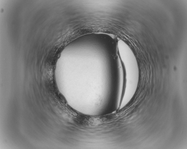 X0000087020613200705071511