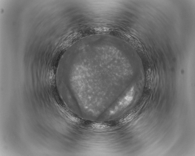 X0000087020614200705071511