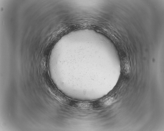 X0000087020615200705071511