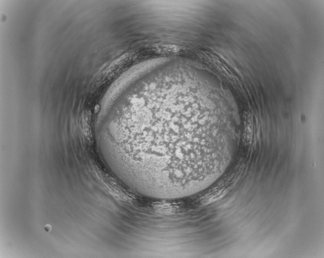 X0000087020616200705071511