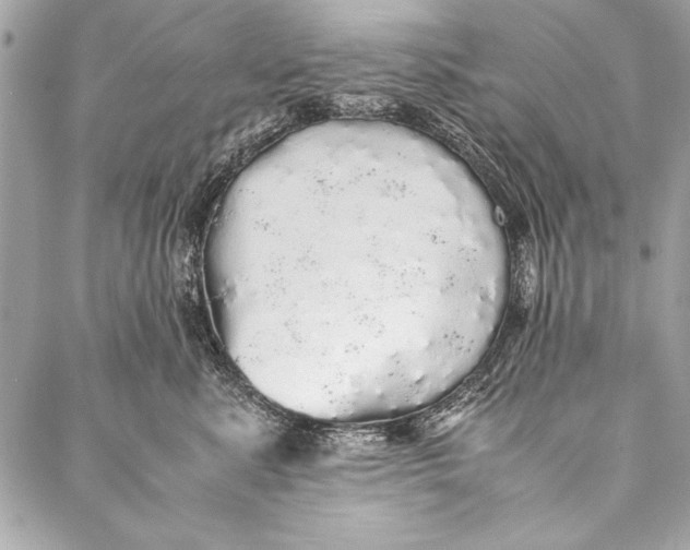 X0000087020619200705071511