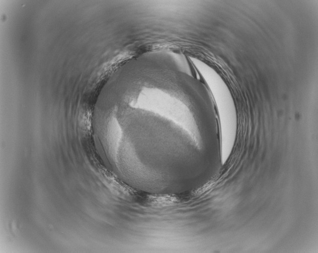 X0000087020621200705071511