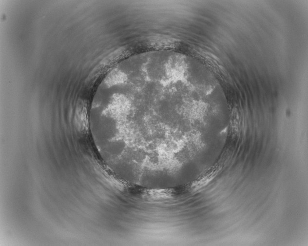 X0000087020622200705071511