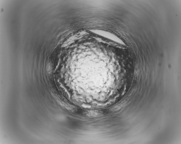 X0000087020623200705071511