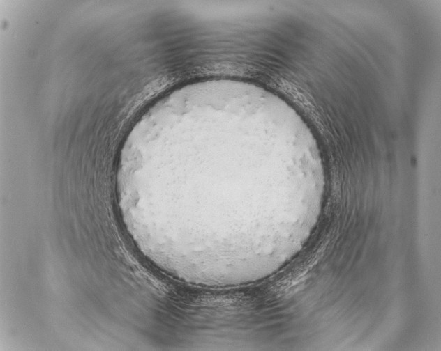 X0000087020625200705071510