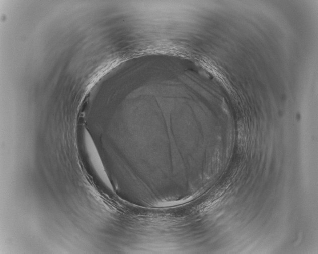 X0000087020626200705071510