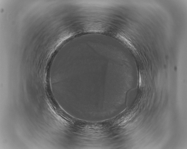 X0000087020627200705071510