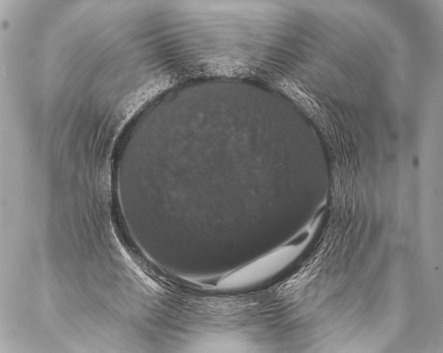 X0000087020630200705071510