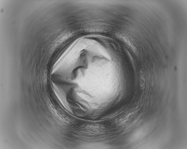 X0000087020631200705071510