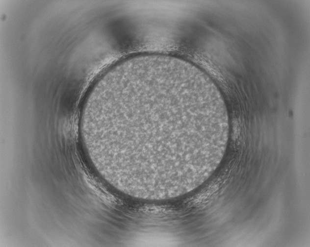 X0000087020632200705071510