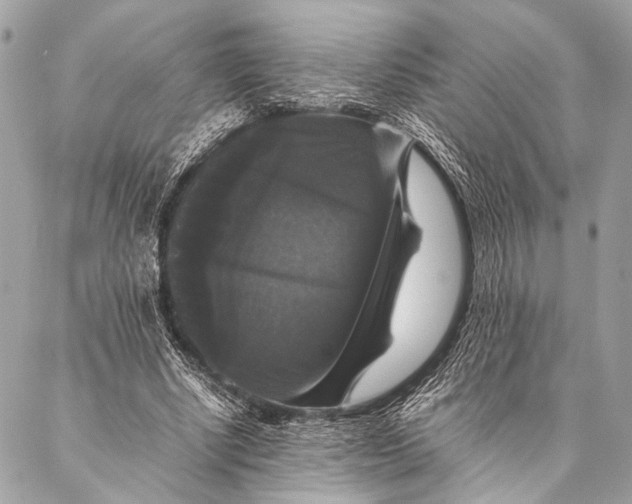 X0000087020634200705071510