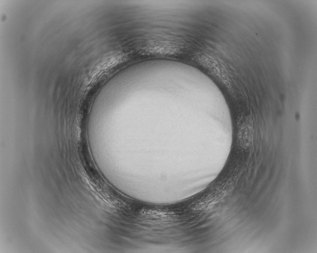 X0000087020635200705071510