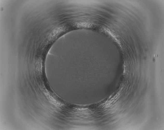 X0000087020637200705071510