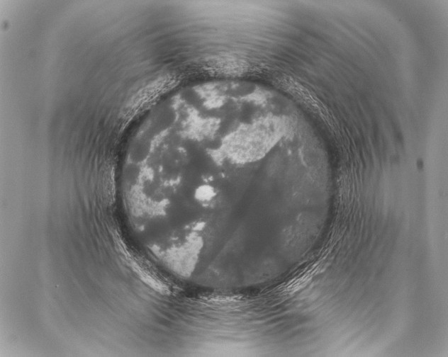 X0000087020638200705071510