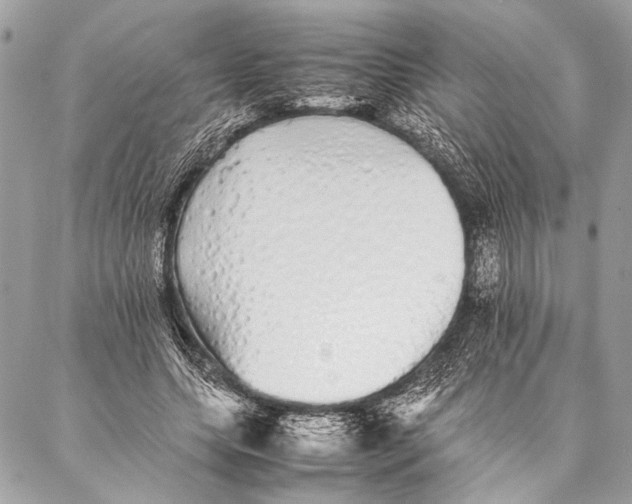 X0000087020639200705071510