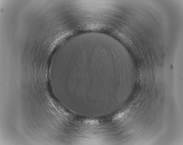 X0000087020640200705071510