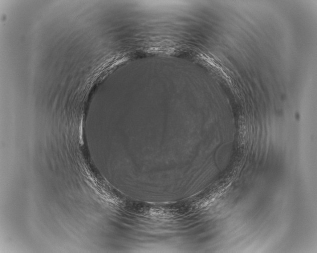 X0000087020641200705071510