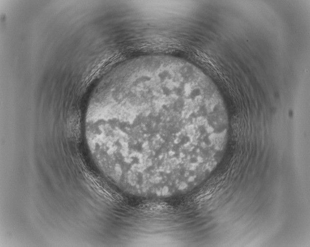 X0000087020642200705071510