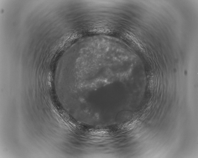 X0000087020643200705071510