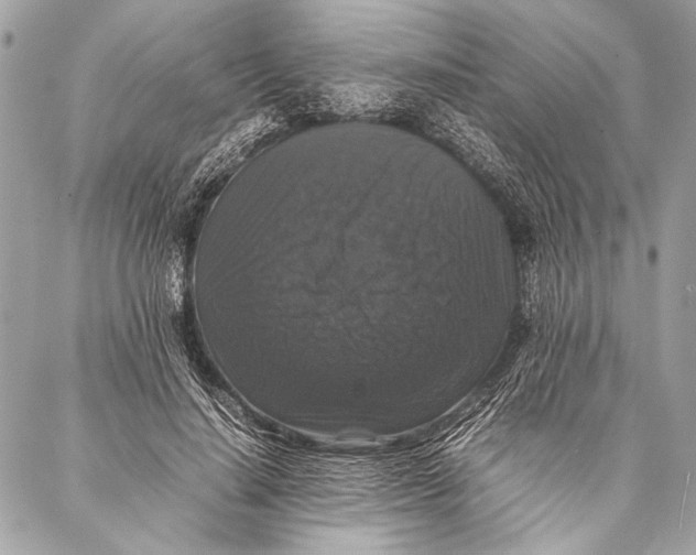 X0000087020644200705071510