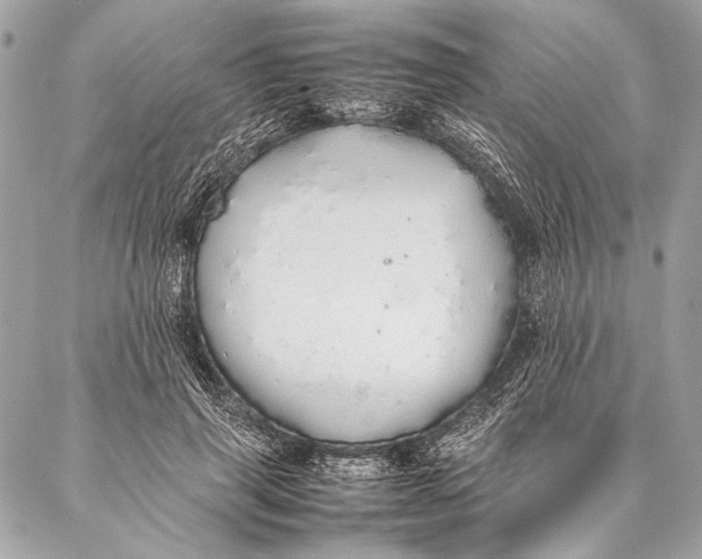 X0000087020645200705071511