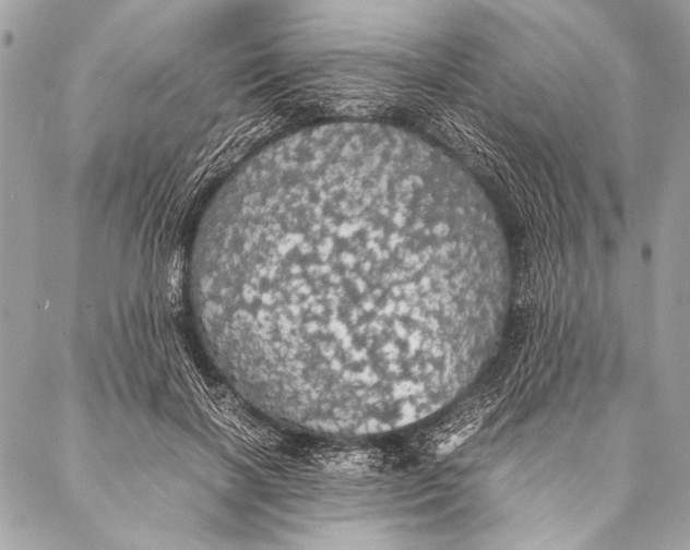 X0000087020646200705071511