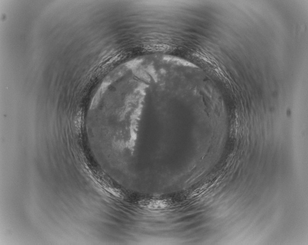 X0000087020647200705071511