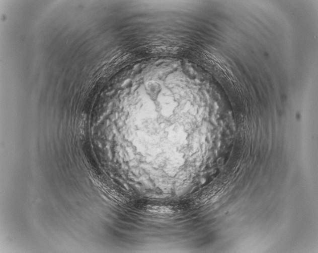 X0000087020649200705071511