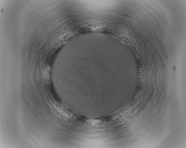 X0000087020650200705071511