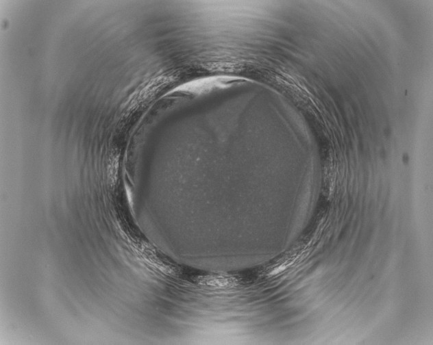 X0000087020652200705071511