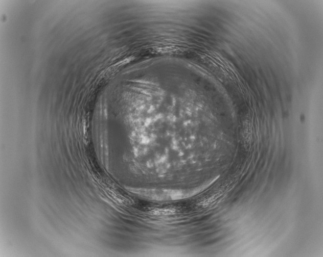 X0000087020653200705071511