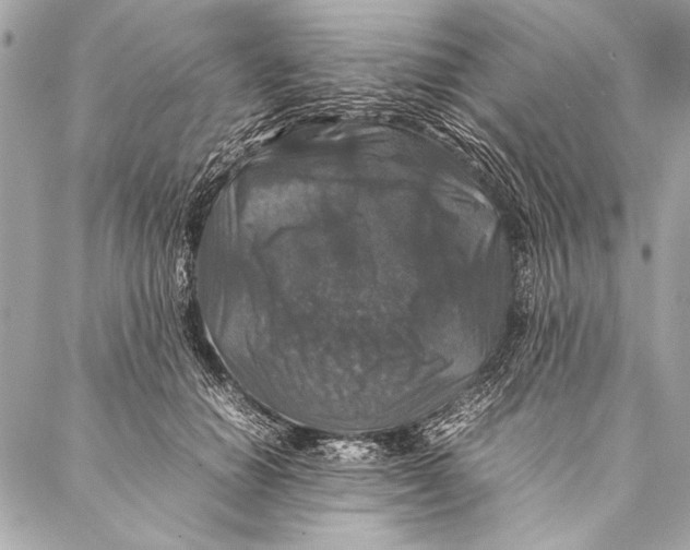 X0000087020654200705071511