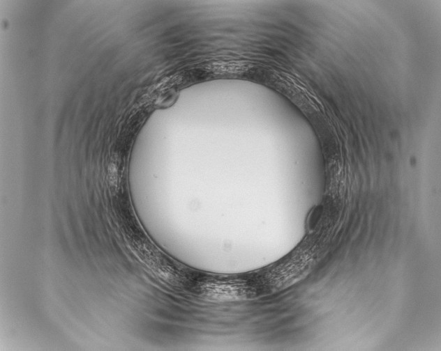 X0000087020655200705071511