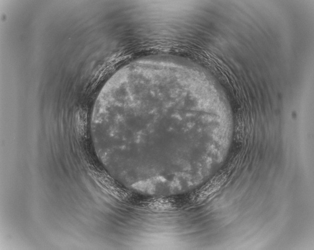 X0000087020656200705071511