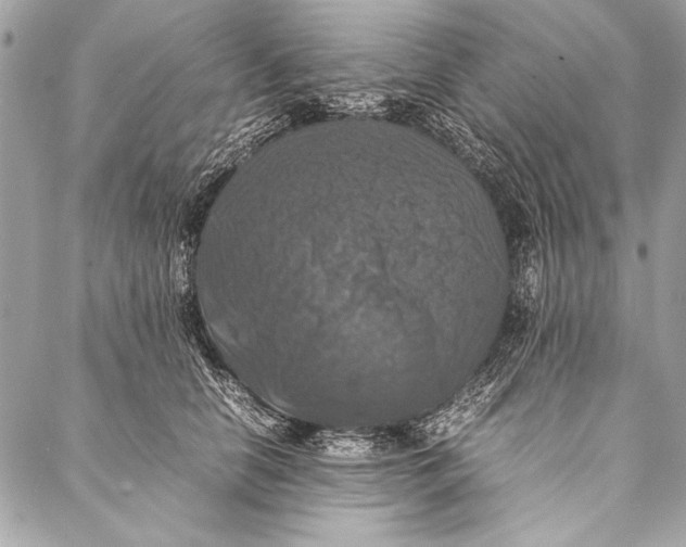 X0000087020658200705071511