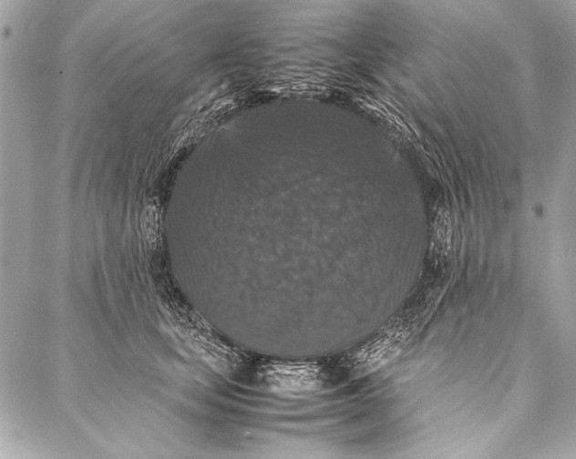 X0000087020659200705071511