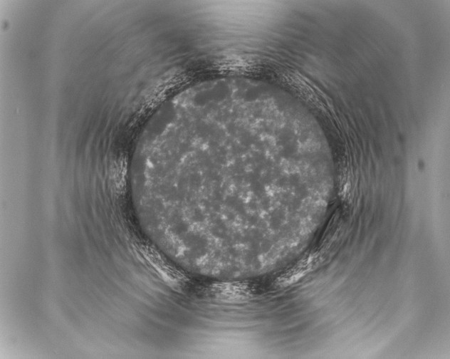 X0000087020660200705071511