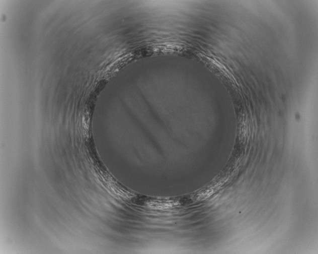 X0000087020661200705071511