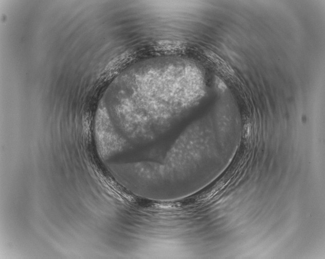 X0000087020662200705071511