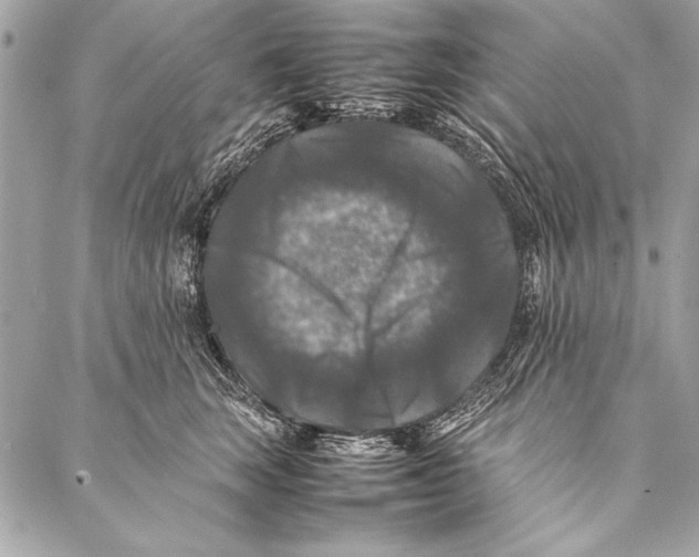 X0000087020663200705071511