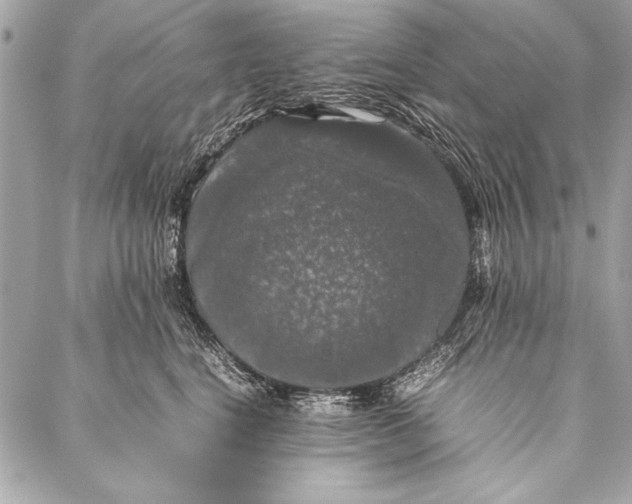 X0000087020664200705071511