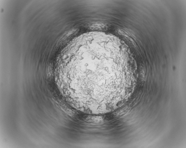 X0000087020665200705071511