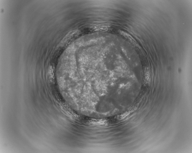 X0000087020667200705071511