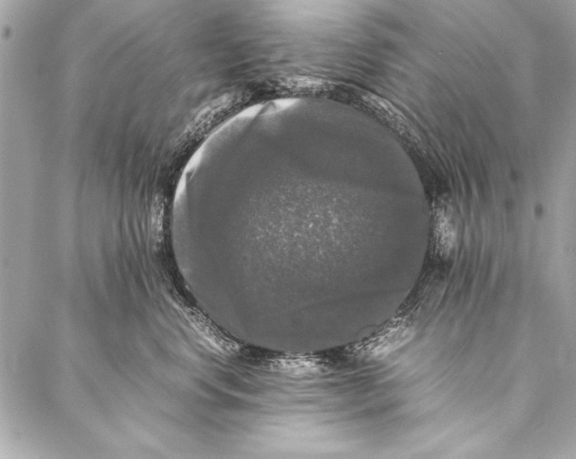 X0000087020668200705071511