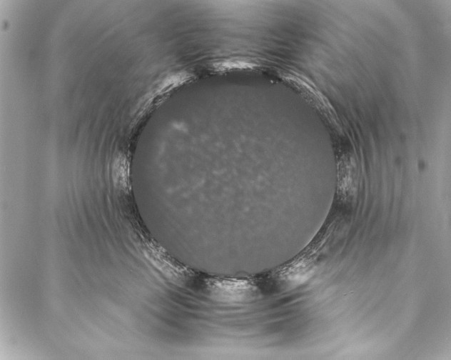 X0000087020669200705071511